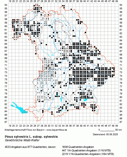 Die Verbreitungskarte zu Pinus sylvestris L. subsp. sylvestris wird geladen ...