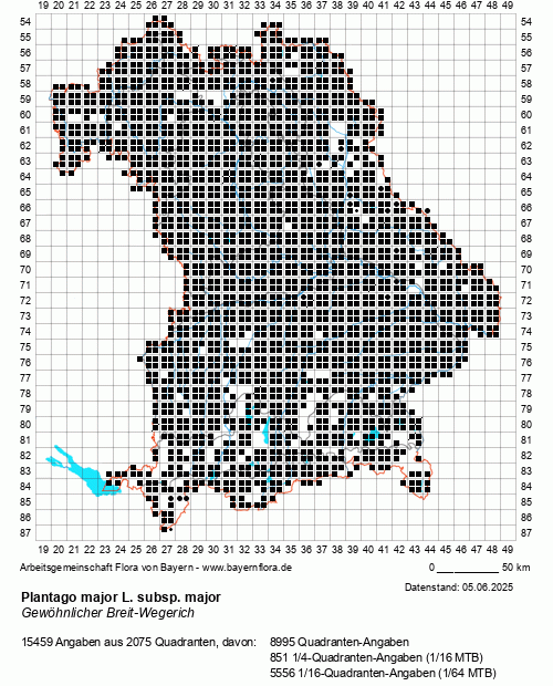 Die Verbreitungskarte zu Plantago major L. subsp. major wird geladen ...