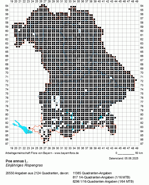 Die Verbreitungskarte zu Poa annua L. wird geladen ...