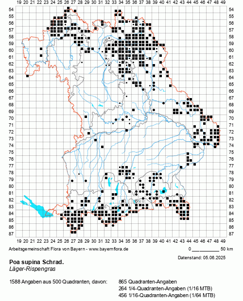 Die Verbreitungskarte zu Poa supina Schrad. wird geladen ...