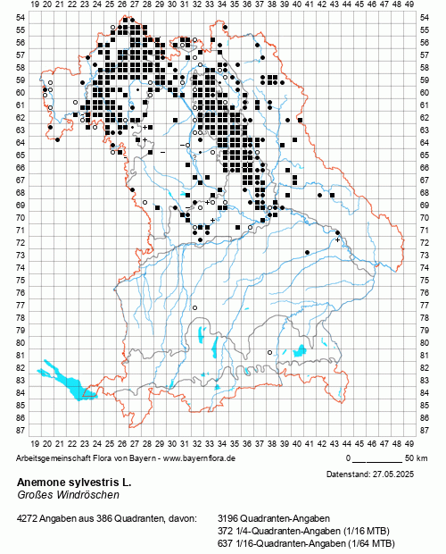 Die Verbreitungskarte zu Anemone sylvestris L. wird geladen ...