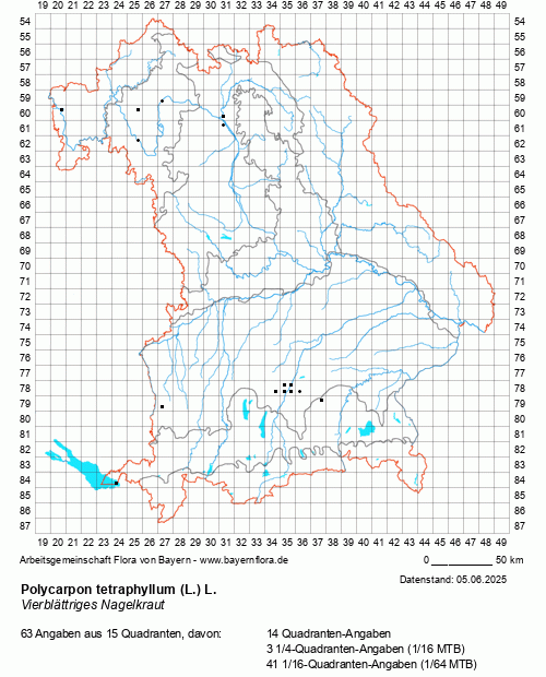 Die Verbreitungskarte zu Polycarpon tetraphyllum (L.) L. wird geladen ...