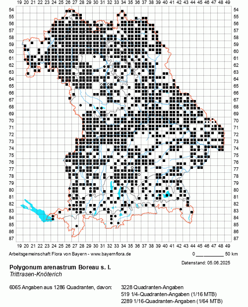 Die Verbreitungskarte zu Polygonum arenastrum Boreau s. l. wird geladen ...