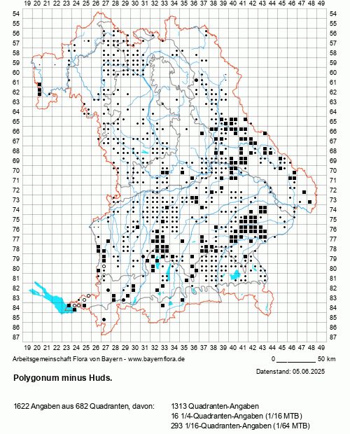 Die Verbreitungskarte zu Polygonum minus Huds. wird geladen ...