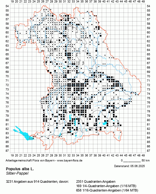 Die Verbreitungskarte zu Populus alba L. wird geladen ...