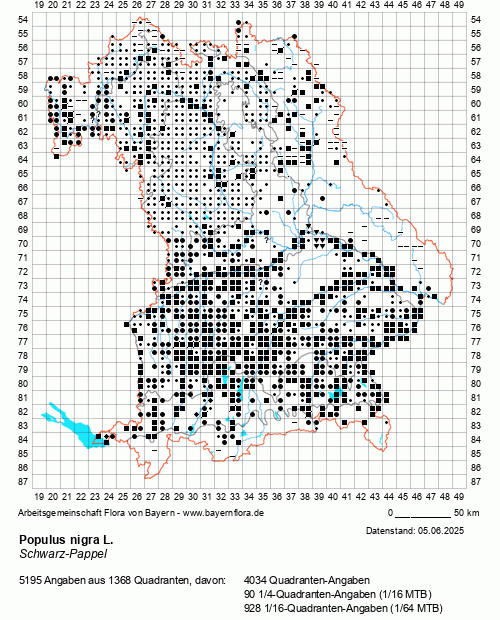 Die Verbreitungskarte zu Populus nigra L. wird geladen ...