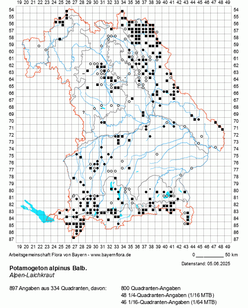 Die Verbreitungskarte zu Potamogeton alpinus Balb. wird geladen ...