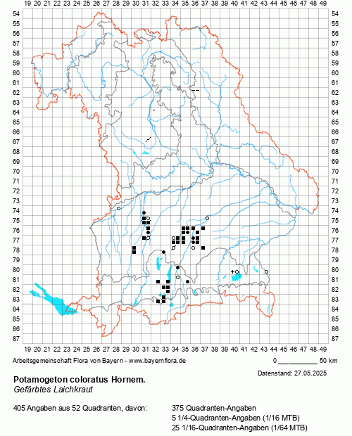 Die Verbreitungskarte zu Potamogeton coloratus Hornem. wird geladen ...