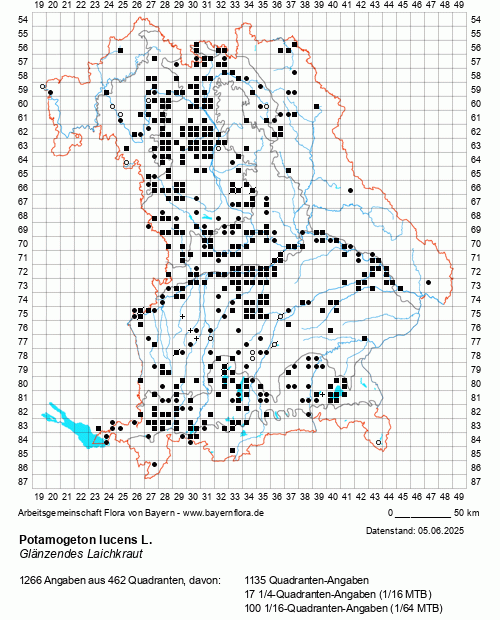 Die Verbreitungskarte zu Potamogeton lucens L. wird geladen ...