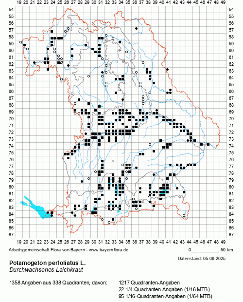 Die Verbreitungskarte zu Potamogeton perfoliatus L. wird geladen ...