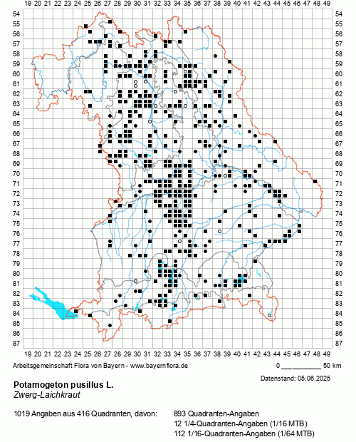 Die Verbreitungskarte zu Potamogeton pusillus L. wird geladen ...