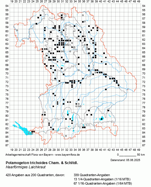 Die Verbreitungskarte zu Potamogeton trichoides Cham. & Schltdl. wird geladen ...