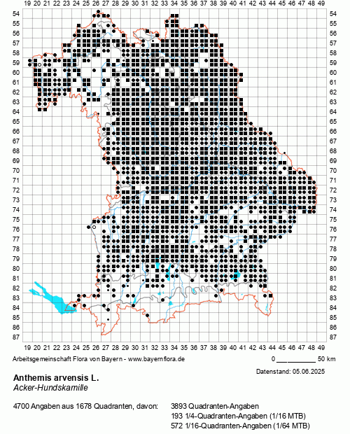 Die Verbreitungskarte zu Anthemis arvensis L. wird geladen ...