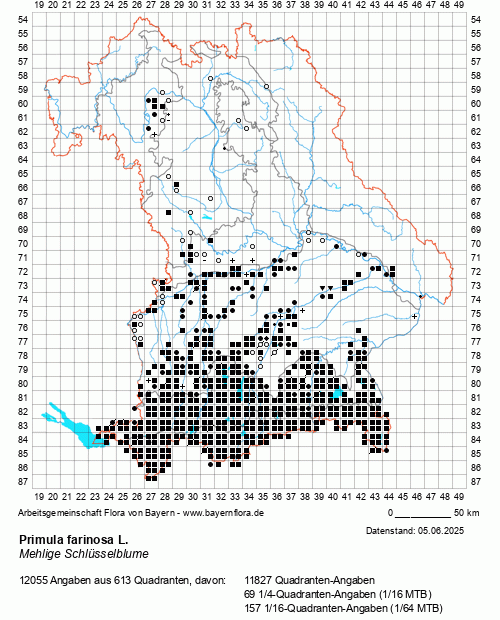 Die Verbreitungskarte zu Primula farinosa L. wird geladen ...
