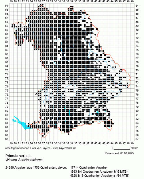 Die Verbreitungskarte zu Primula veris L. wird geladen ...