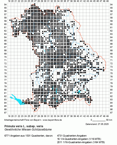 Die Verbreitungskarte zu Primula veris L. subsp. veris wird geladen ...