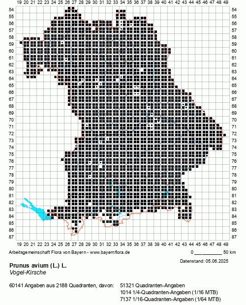 Die Verbreitungskarte zu Prunus avium (L.) L. wird geladen ...