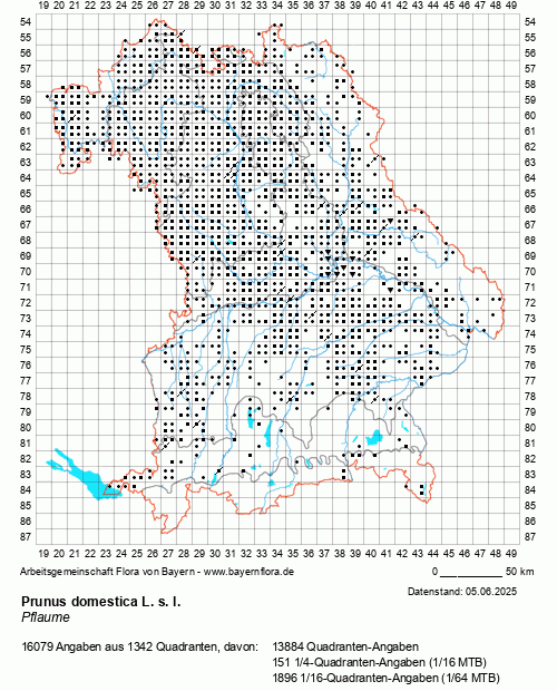 Die Verbreitungskarte zu Prunus domestica L. s. l. wird geladen ...