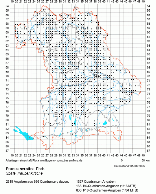 Die Verbreitungskarte zu Prunus serotina Ehrh. wird geladen ...