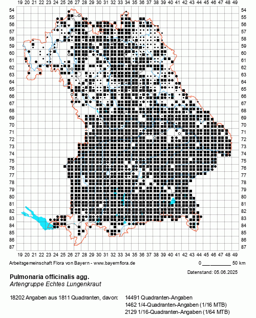 Die Verbreitungskarte zu Pulmonaria officinalis agg. wird geladen ...