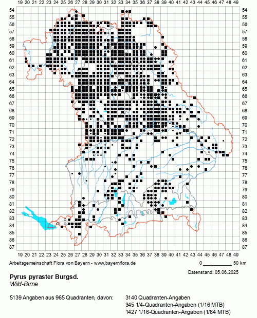 Die Verbreitungskarte zu Pyrus pyraster Burgsd. wird geladen ...