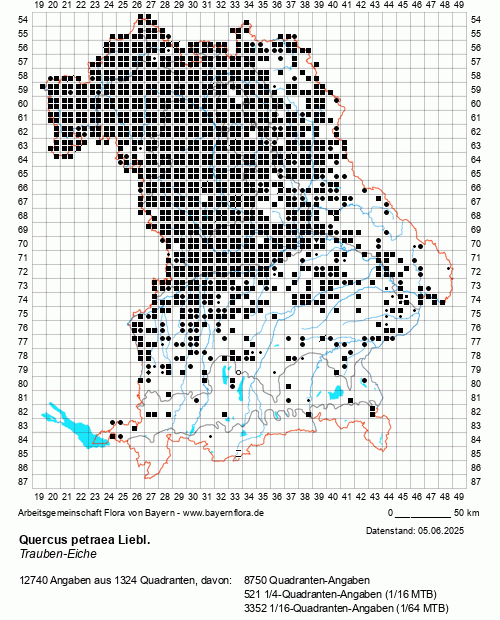 Die Verbreitungskarte zu Quercus petraea Liebl. wird geladen ...