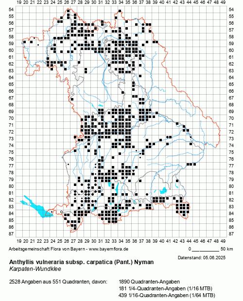 Die Verbreitungskarte zu Anthyllis vulneraria subsp. carpatica (Pant.) Nyman wird geladen ...
