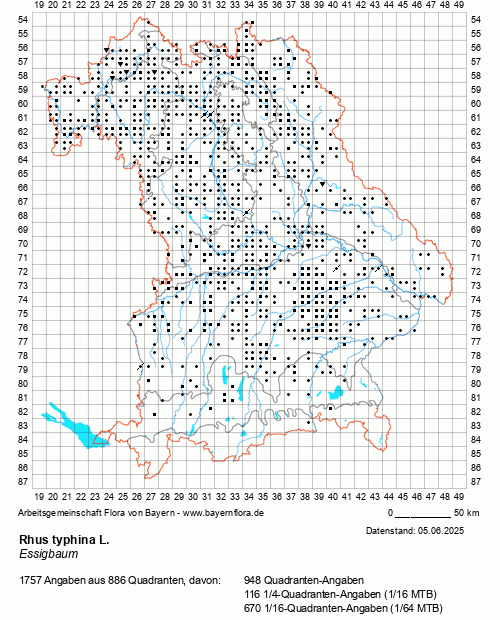 Die Verbreitungskarte zu Rhus typhina L. wird geladen ...