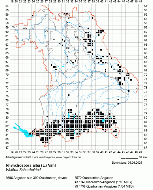 Die Verbreitungskarte zu Rhynchospora alba (L.) Vahl wird geladen ...