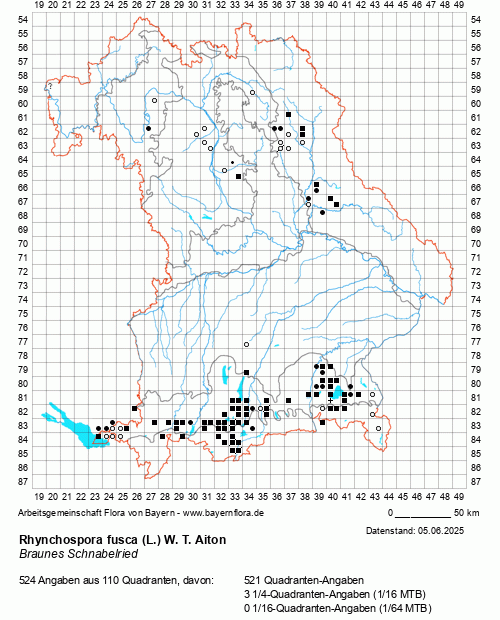 Die Verbreitungskarte zu Rhynchospora fusca (L.) W. T. Aiton wird geladen ...