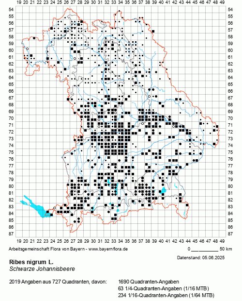Die Verbreitungskarte zu Ribes nigrum L. wird geladen ...