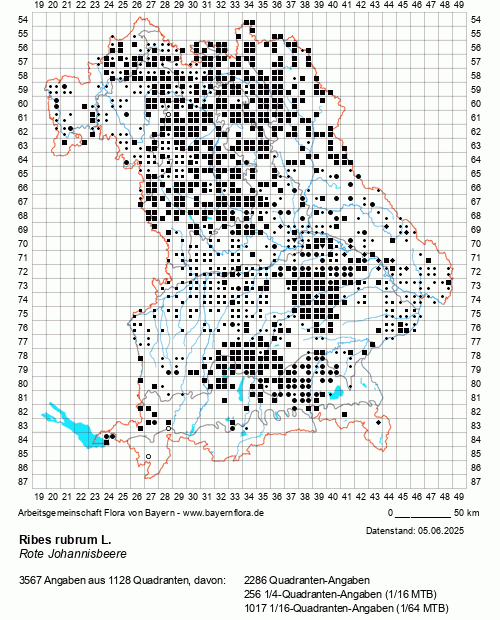 Die Verbreitungskarte zu Ribes rubrum L. wird geladen ...