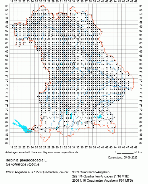 Die Verbreitungskarte zu Robinia pseudoacacia L. wird geladen ...