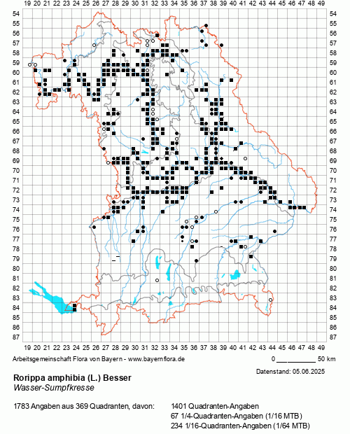 Die Verbreitungskarte zu Rorippa amphibia (L.) Besser wird geladen ...