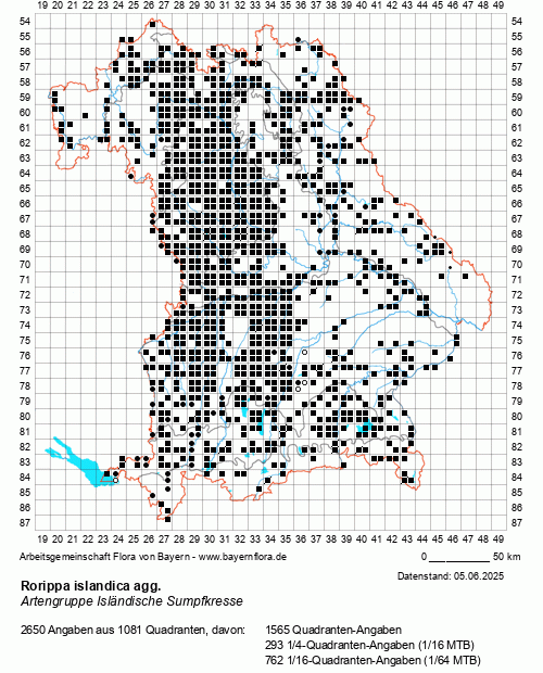 Die Verbreitungskarte zu Rorippa islandica agg. wird geladen ...