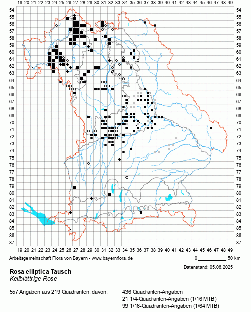 Die Verbreitungskarte zu Rosa elliptica Tausch wird geladen ...