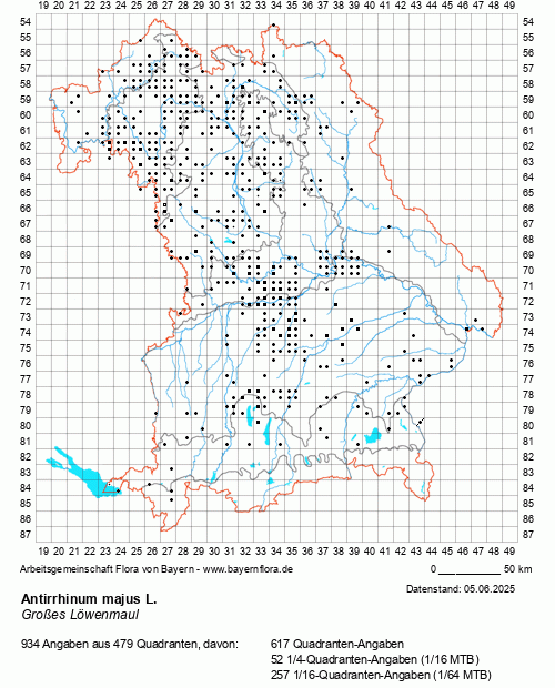 Die Verbreitungskarte zu Antirrhinum majus L. wird geladen ...