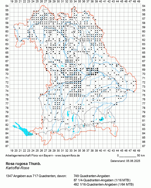 Die Verbreitungskarte zu Rosa rugosa Thunb. wird geladen ...