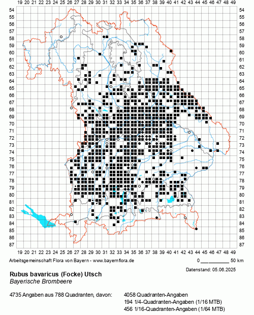 Die Verbreitungskarte zu Rubus bavaricus (Focke) Utsch wird geladen ...