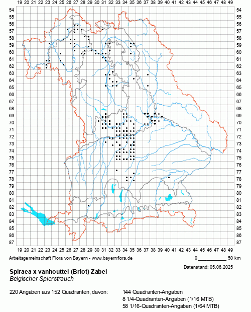 Die Verbreitungskarte zu Spiraea x vanhouttei (Briot) Zabel wird geladen ...