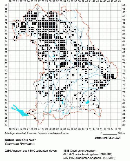 Die Verbreitungskarte zu Rubus sulcatus Vest wird geladen ...