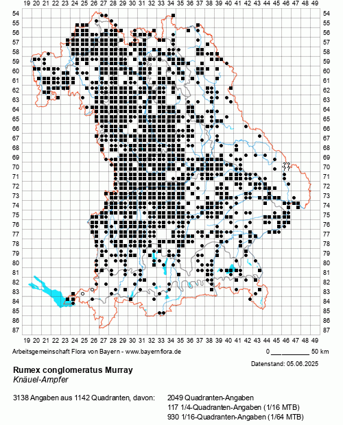 Die Verbreitungskarte zu Rumex conglomeratus Murray wird geladen ...