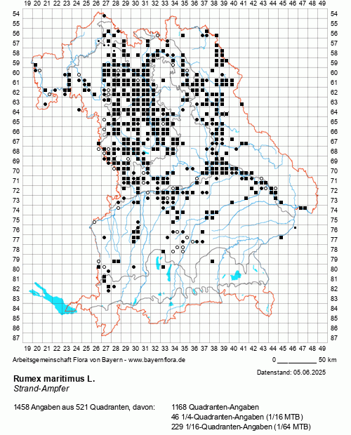 Die Verbreitungskarte zu Rumex maritimus L. wird geladen ...