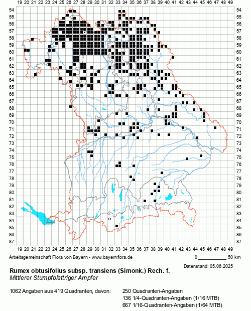 Die Verbreitungskarte zu Rumex obtusifolius subsp. transiens (Simonk.) Rech. f. wird geladen ...