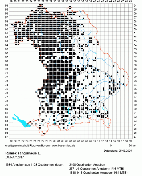 Die Verbreitungskarte zu Rumex sanguineus L. wird geladen ...