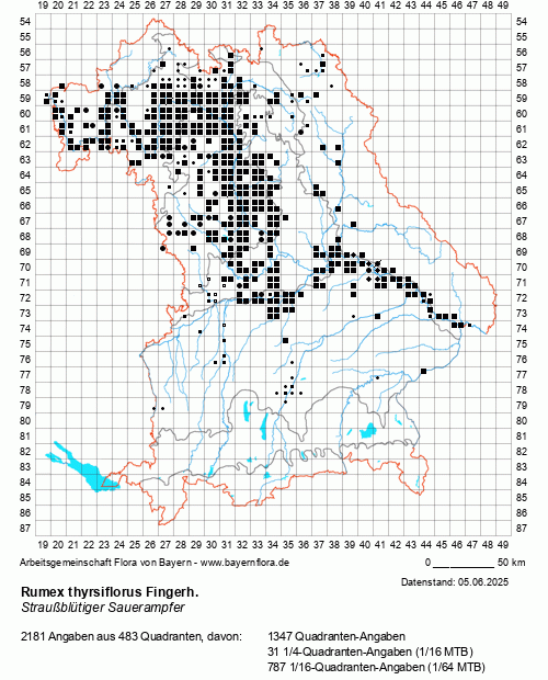 Die Verbreitungskarte zu Rumex thyrsiflorus Fingerh. wird geladen ...