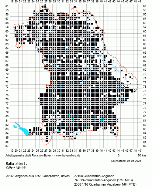 Die Verbreitungskarte zu Salix alba L. wird geladen ...