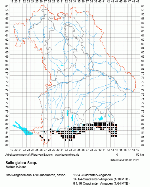 Die Verbreitungskarte zu Salix glabra Scop. wird geladen ...