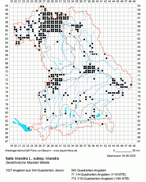 Die Verbreitungskarte zu Salix triandra L. subsp. triandra wird geladen ...