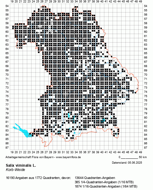Die Verbreitungskarte zu Salix viminalis L. wird geladen ...